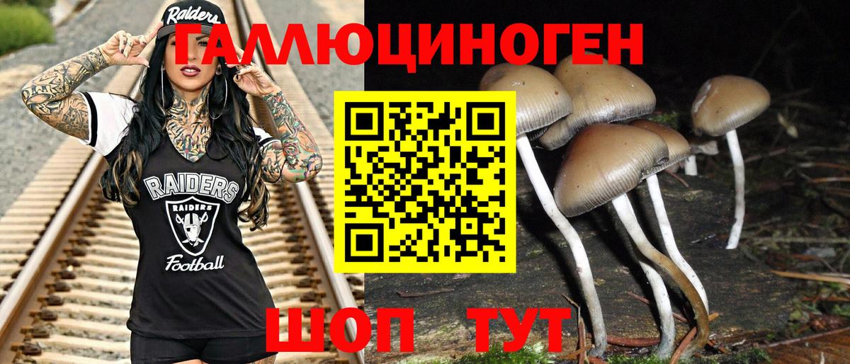 Псилоцибиновые грибы GOLDEN TEACHER  Вход с VPN  Нефтекамск  Псилоцибиновые грибы мухоморы 
