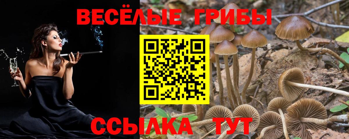 Псилоцибиновые грибы мухоморы Нефтекамск